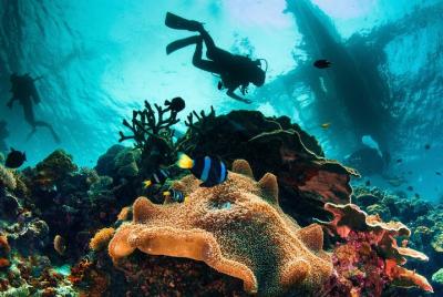 Try and Discover scuba diving Try and Discover scuba diving