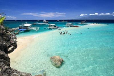 Whale Shark with Tumalog Falls & Sumilon Sandbar Whale Shark with Tumalog Falls & Sumilon Sandbar