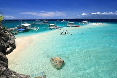 Whale Shark Watching with Canyoneering & Kawasan Falls + Sumilon Sandbar Whale Shark Watching with Canyoneering & Kawasan Falls + Sumilon Sandbar