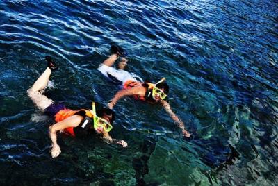 Dumaguete Apo Island Snorkeling Tour Dumaguete Apo Island Snorkeling Tour