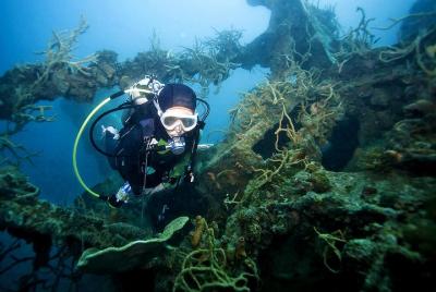 Coron Reefs & Wreck Tour (Shared Tour) Coron Reefs & Wreck Tour (Shared Tour)