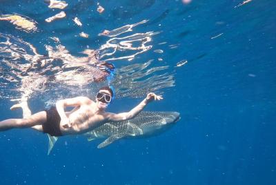 Cebu Whalesharks, Sumilon Whitesand & Kawasan Waterfalls Cebu Whalesharks, Sumilon Whitesand & Kawasan Waterfalls