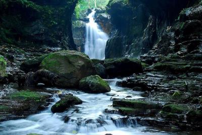 Shared Hidden Valley Tour from Manila