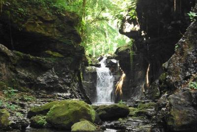 Hidden Valley Springs with Lunch from Manila