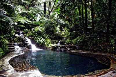 Hidden Valley Day Trip from Manila