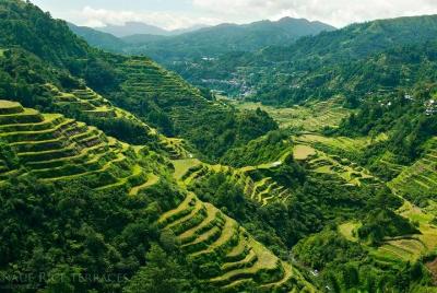 Banaue & Batad UNESCO 3days 2 nights Tour ( Private Group Tour Max 6 Travelers)