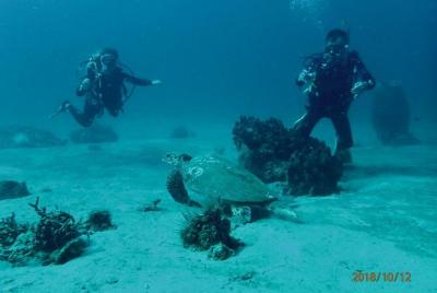 Discovery Scuba Diving with transfer from Manila