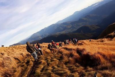 Mount Pulag Hike