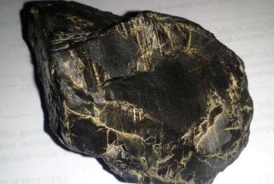 Experience Gems in Sibalom National Park (Nature Tour)