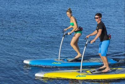 Kindness- 2 boards/30 minutes/2 vests Kindness- 2 boards/30 minutes/2 vests