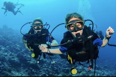 PADI Open Water Diver Course