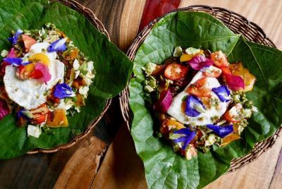 Private, Sustainable Farm-to-Table Cooking Experience in an Organ