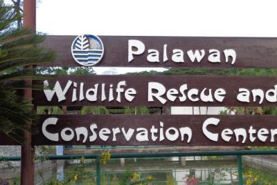 City tour with museum