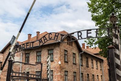 From Cracow: Small Group Tour to Auschwitz and Birkenau