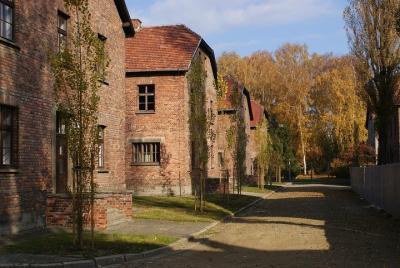 Auschwitz Birkenau Self-Guided Tour with Guidebook from Krakow Auschwitz Birkenau Self-Guided Tour with Guidebook from Krakow