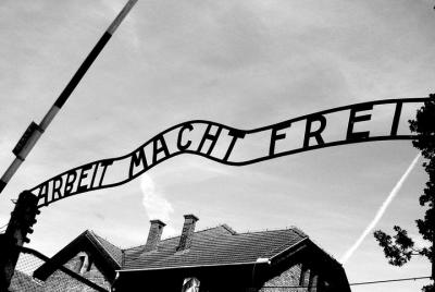 Auschwitz Birkenau - Individual Visit from Krakow