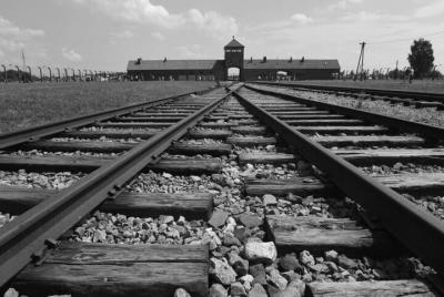 Auschwitz-Birkenau Tour From Krakow
