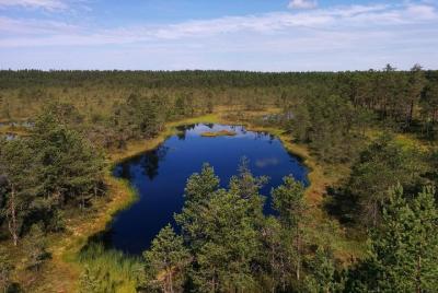 Lahemaa National Park Full Day Tour from Tallinn Lahemaa National Park Full Day Tour from Tallinn