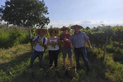 The most authentic local wine experience in Kakheti, From Tbilisi The most authentic local wine experience in Kakheti, From Tbilisi