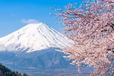 Private Full Day Sightseeing Tour to Mount Fuji and Hakone Private Full Day Sightseeing Tour to Mount Fuji and Hakone