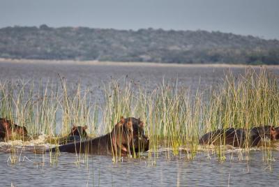 2-Day Maputo Special Reserve Guided Tour 2-Day Maputo Special Reserve Guided Tour