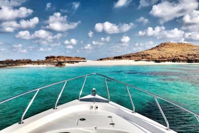 Cruises to Daymaniyat & Snorkeling Cruises to Daymaniyat & Snorkeling