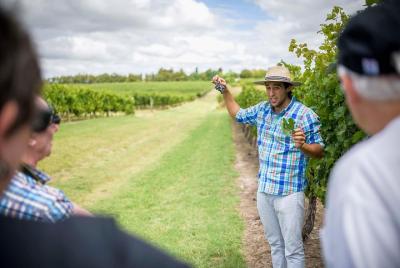 Montevideo and Wine Tasting Tour - for cruise passengers Montevideo and Wine Tasting Tour - for cruise passengers