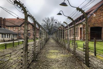 Auschwitz-Birkenau Guided Tour from Krakow