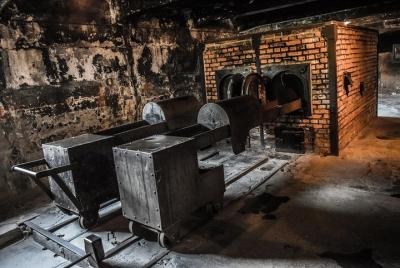 Auschwitz & Birkenau Live Guide Tour Entrance Ticket Auschwitz & Birkenau Live Guide Tour Entrance Ticket