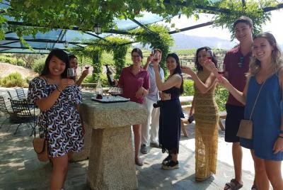 Douro Valley for Wine Lovers with Visit to 3 Vineyards and Lunch 