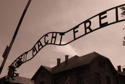 Auschwitz and Birkenau Tour from Warsaw Auschwitz and Birkenau Tour from Warsaw