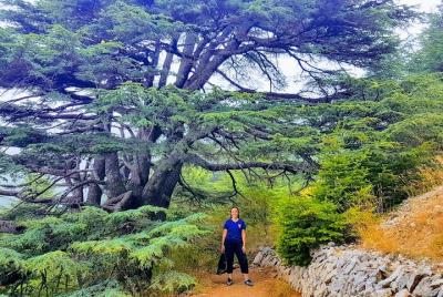 Full-Day Private Trip to Cedars, Baalbek and Ksara from Beirut Full-Day Private Trip to Cedars, Baalbek and Ksara from Beirut