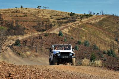 Jeep Safari into the hills
