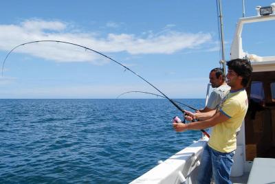 Small Group Reef Fishing in Albufeira