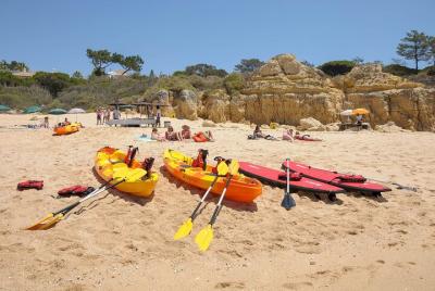 Kayaks & Beach BBQ