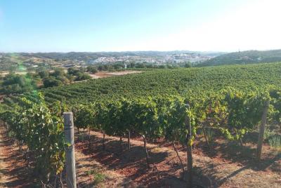 Algarve Wine Tour in Lagoa and Silves with Lunch Algarve Wine Tour in Lagoa and Silves with Lunch