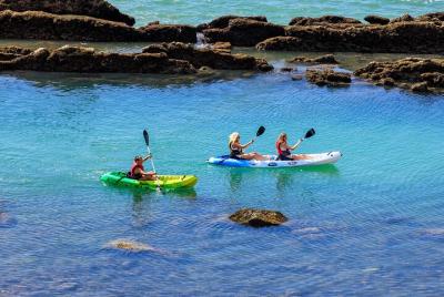 Kayaks Experience Kayaks Experience