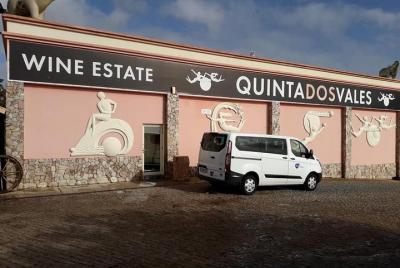 Wine Taste & Algarve Coast Tour 