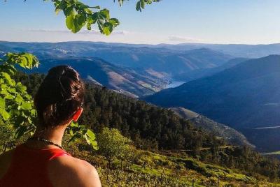 Off The Beaten Track Douro Valley Tour - Private Tour - All Inclu Off The Beaten Track Douro Valley Tour - Private Tour - All Inclu