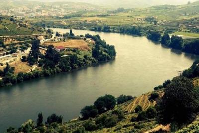 Best of Douro Valley - Douro Valley Wine Tour - Private Tour Best of Douro Valley - Douro Valley Wine Tour - Private Tour