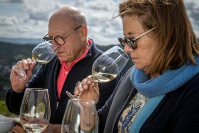 Selection Wine Tasting at Quinta de Santa Cristina Vinho Verde Wi Selection Wine Tasting at Quinta de Santa Cristina Vinho Verde Wi