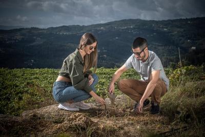 Wine & Vine Planting at Quinta de Santa Cristina Vinho Verde Wine
