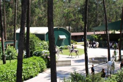 Horseback Riding! Beautiful location, exceptional staff and uniqu Horseback Riding! Beautiful location, exceptional staff and uniqu