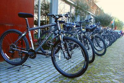 Bike Rental Bike Rental