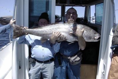 Open Fishing Tour from Lisbon Open Fishing Tour from Lisbon