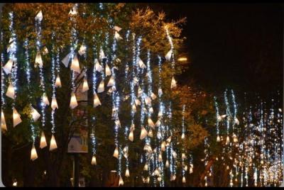 Christmas lights on a tour of TUKTUK