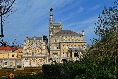 An adventure through the Vila do Luso and Mata do Bussaco- Coimbr An adventure through the Vila do Luso and Mata do Bussaco- Coimbr