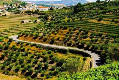 Sightseeingss in Peso Da Regua Things to do in Peso Da Regua 77908