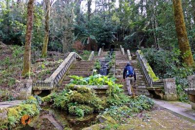 An adventure through the Bussaco National Forest - Coimbra An adventure through the Bussaco National Forest - Coimbra