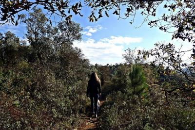 A journey through the forgotten Sierra ... - Serra de Brasfemes,  A journey through the forgotten Sierra ... - Serra de Brasfemes,